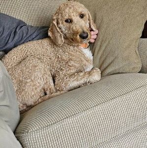 Meet your Posher, Tresa